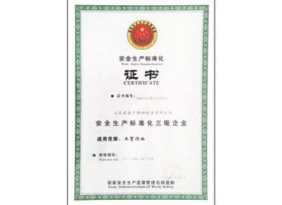 點(diǎn)擊查看詳細(xì)信息<br>標(biāo)題：安全生產(chǎn)標(biāo)準(zhǔn)化證書(shū) 閱讀次數(shù)：3279